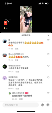 1641539353826063749.png image.png